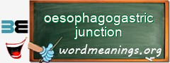 WordMeaning blackboard for oesophagogastric junction